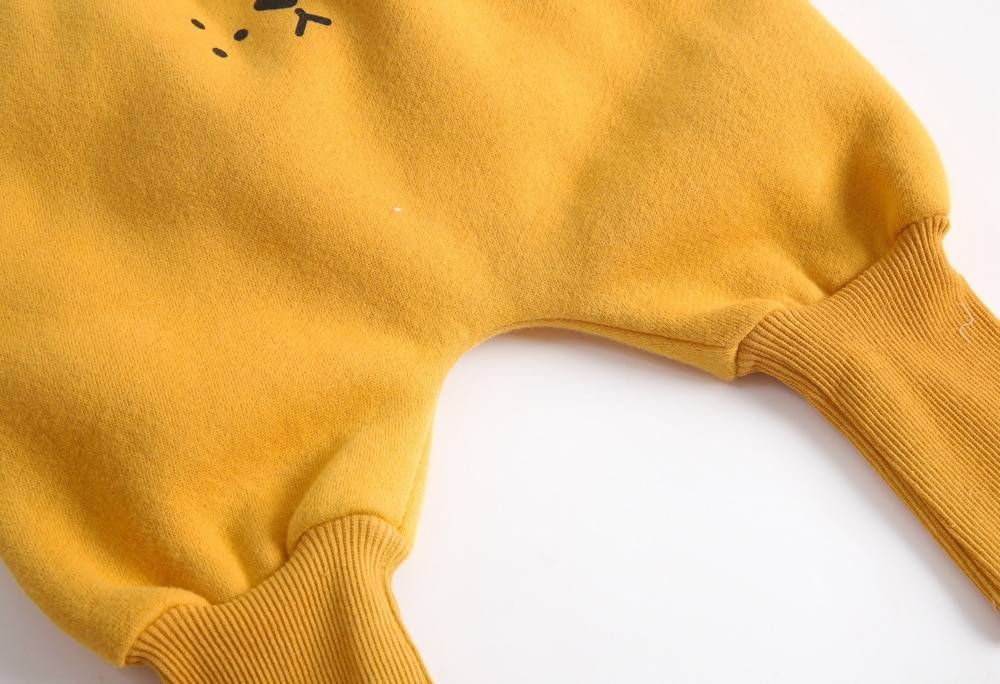 Winter Baby's Cartoon Animal Printed Sweatshirt with Pants Set